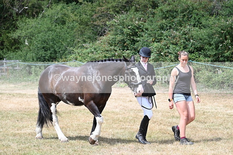 WJ7_1929 - Class 4a Prettiest Mare 14.2hh and over hand
