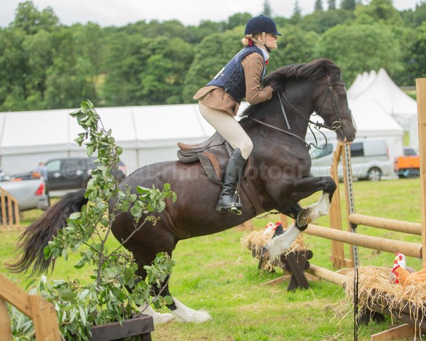 Dunblane show-391 - Dunblane and Doune Show Ring 1
