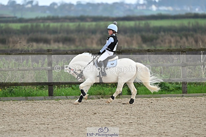 241110-133611-00888 - 60-65cm Arena Eventing