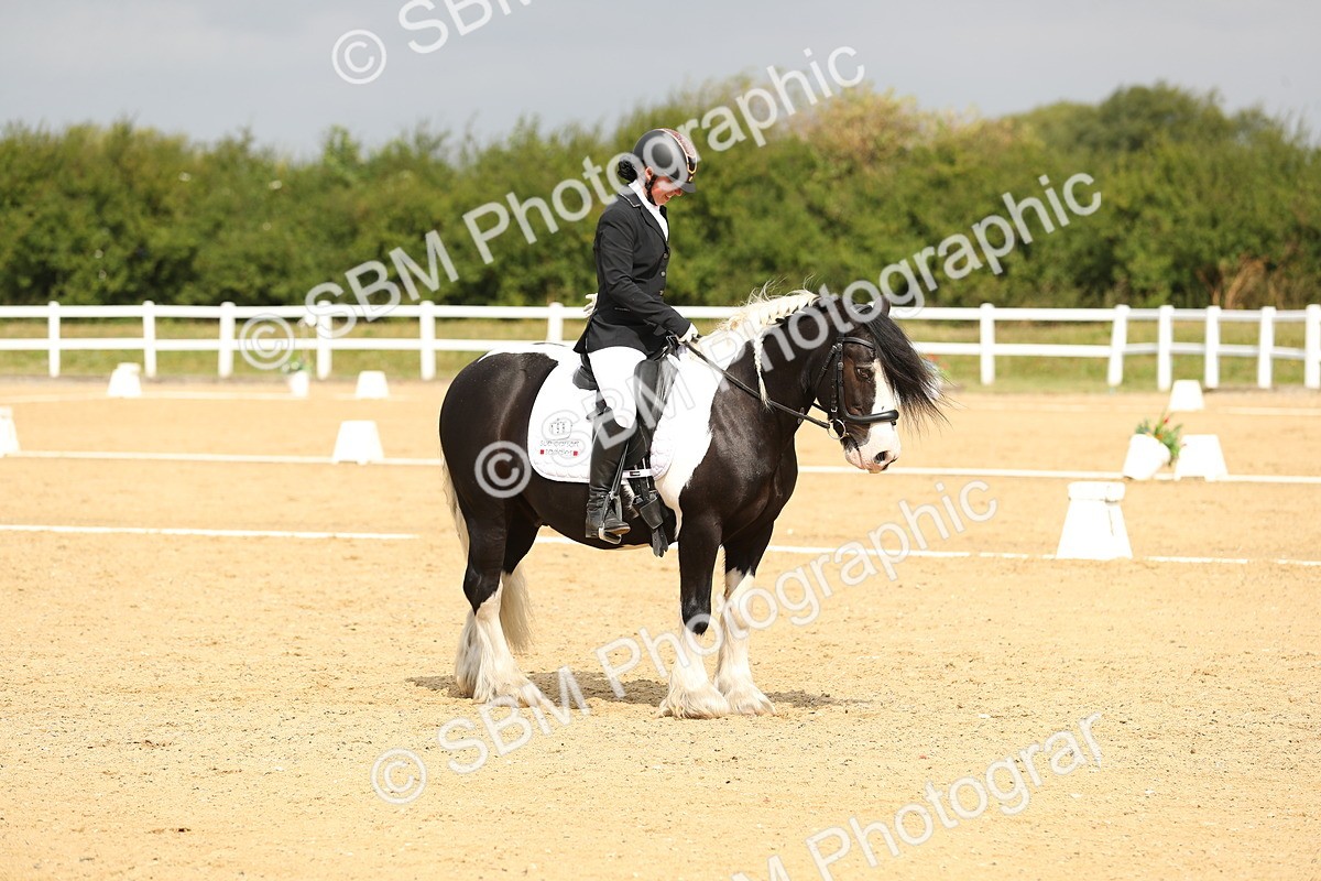 SBM_016460 - Class 13 - Novice 23 - 11.25-12.35