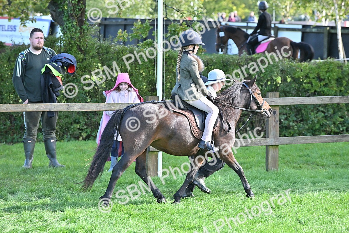 SBM_37429 - S18 - Novice & Newcomer Lead Rein Pony