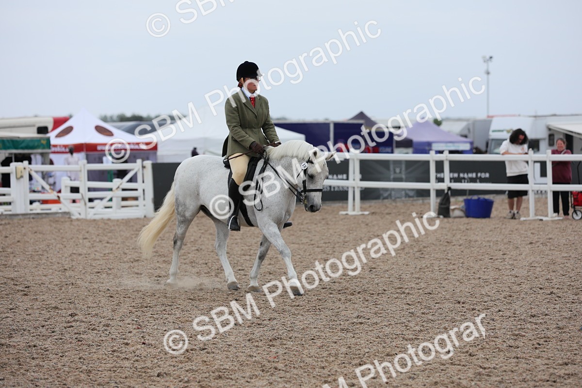 SBM_18071 - Class 316 Best Pony/Rider Combination