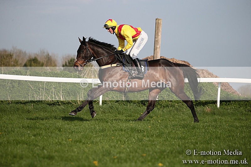 PtP 210418 551 - South & West Wilts Point-to-Point Larkhill 21/04/18