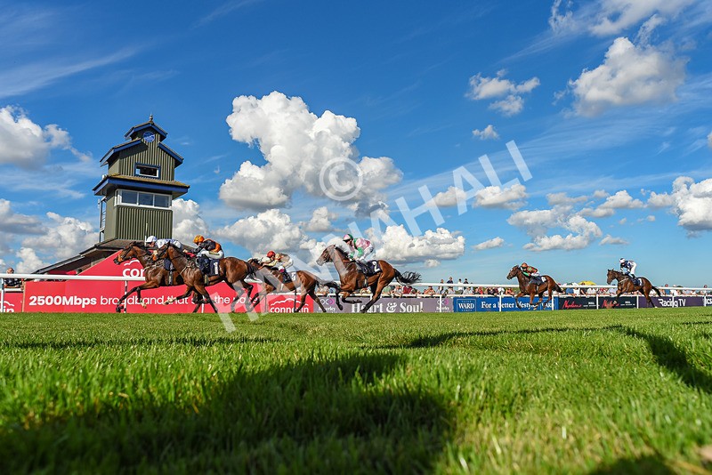 220926-Race 4-Toca Madera-7882 - Race 4 3.15pm Eddie And Violet Smith Conditions Stakes