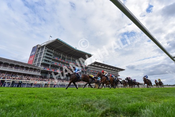 220825-Race 4-Asfoora-9395 - Race 4 3.35pm Coolmore Wootton Bassett Nunthorpe Stakes