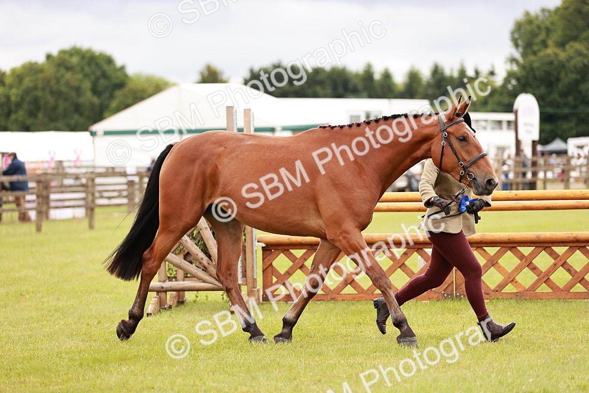 SBM_00820 - Class 26-30 Sport Horse In Hand