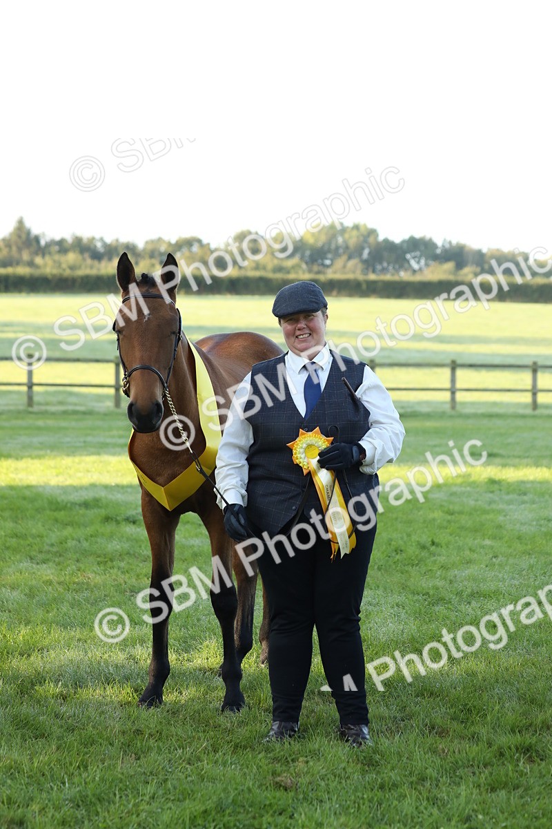 SBM_57866 - S42 - Youngstock