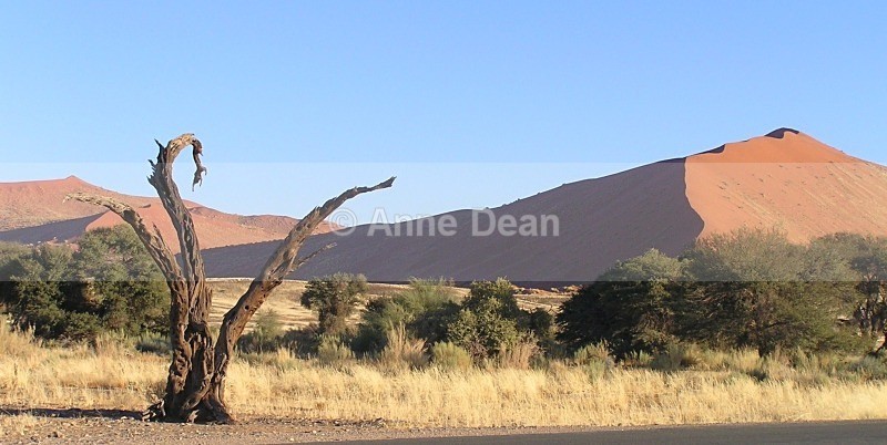 Arid landscape with dunes - Namibia