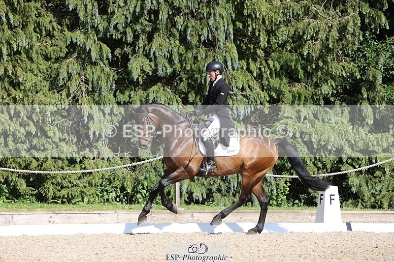 230526-170107-07887 - 174-LANCELOT_BMG-Alfie_Marshall-WEDTrotUp+DR