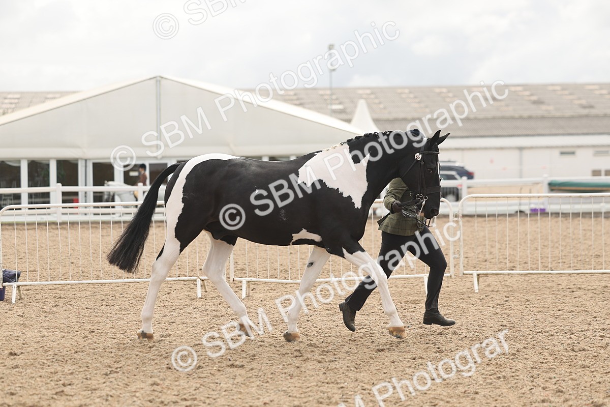 SBM_02081 - Class 15 - IH Coloured