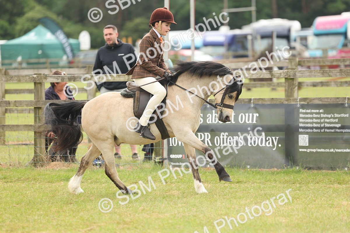 SBM_07097 - Class 76-77 - Ridden M&M Welsh Ponies