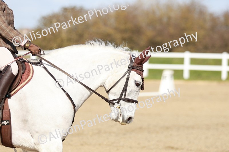 20260314-2817 - DR3 - Prelim 1