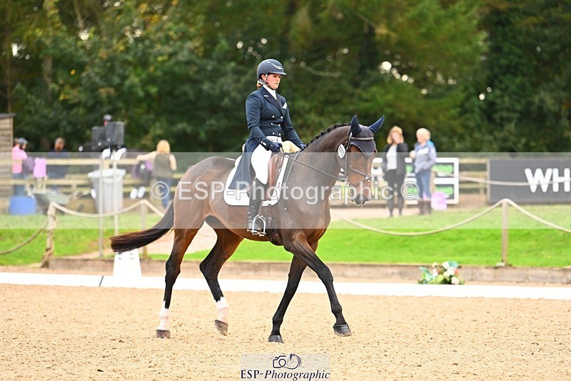 231020-150325-10070 - 312-HALVANNA.THE.LAST.SONG-Holly.Horton-DR