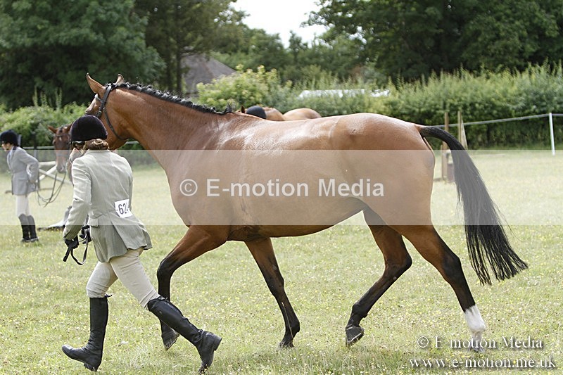 BVR160717-1853 - Ring 3 BVRC Show 16/07/17