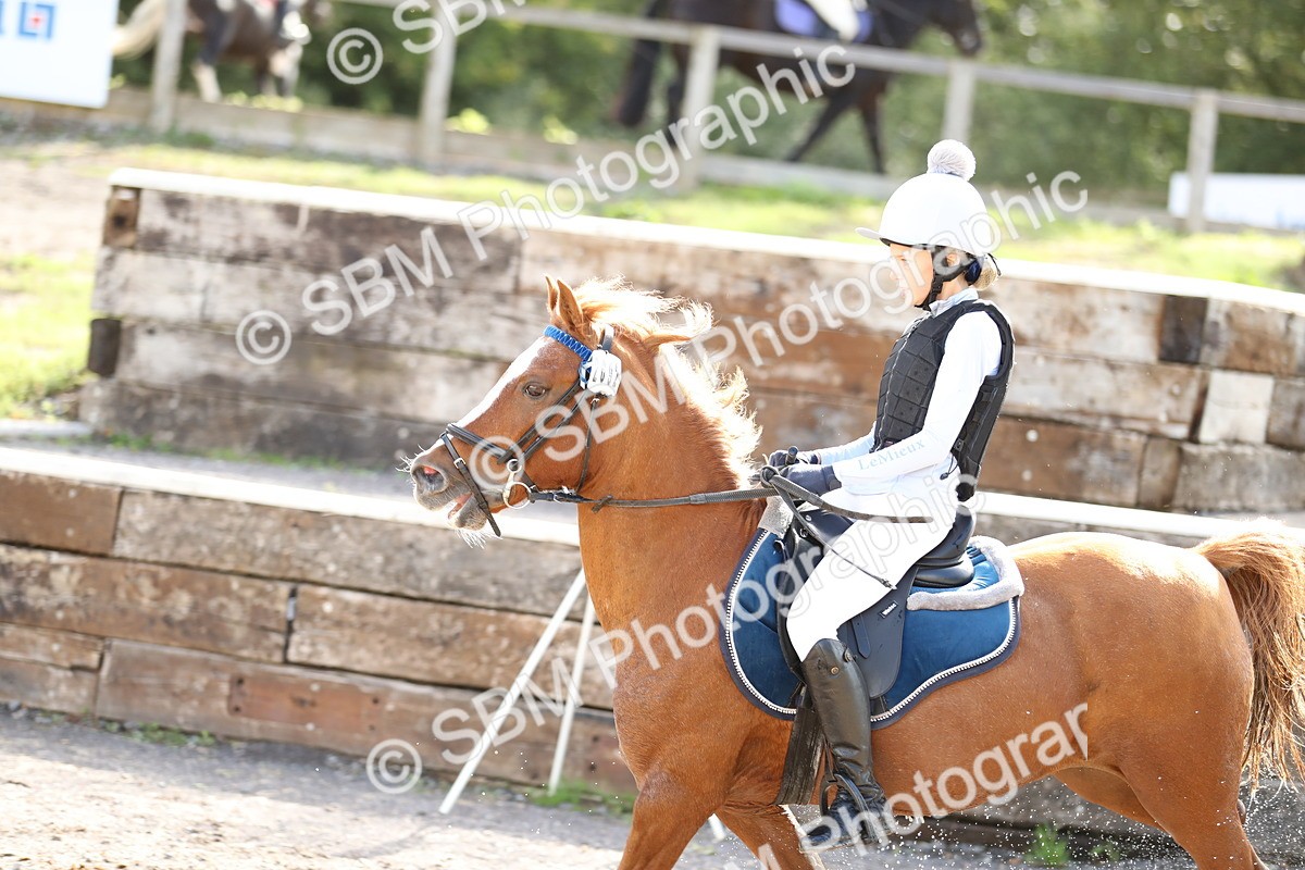 SBM_17244 - E4b - Eventers Challenge 60cm Open