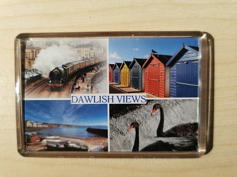 Fridge Magnets  - postcard view Dawlish - FRIDGE MAGNETS