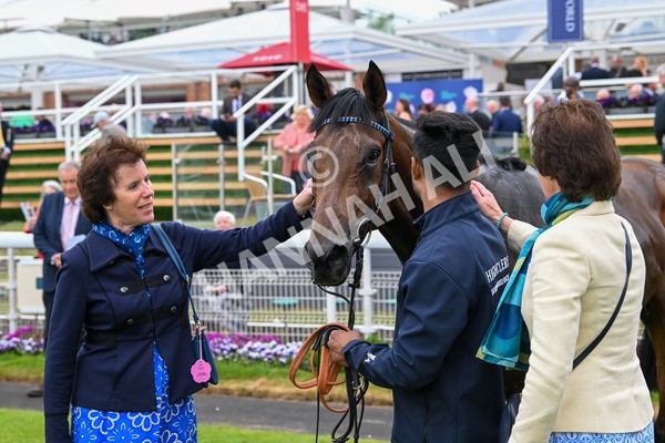 150525-Merchant-5430 - Race 7 5.25pm Haxby Handicap