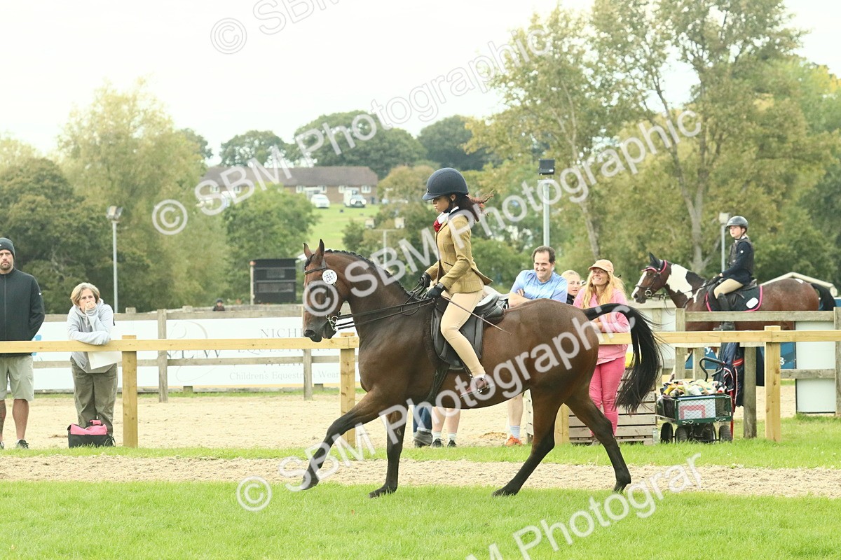 SBM_74084 - S 61 - Show Pony & Show Hunter Pony Ridden