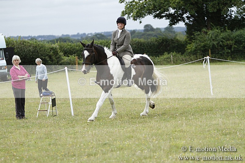 BVR160717-170 - Ring 3 BVRC Show 16/07/17