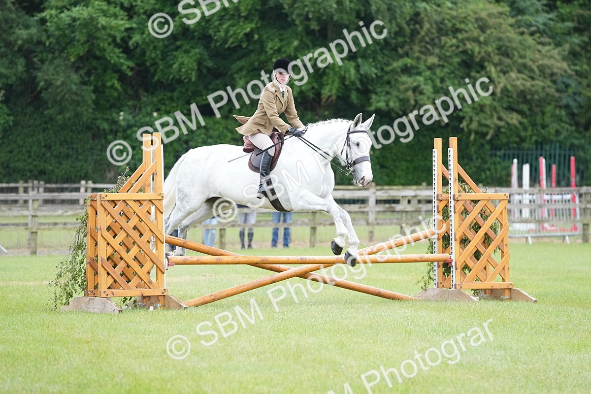 SBM_12521 - Class 97-98 - LIHS BSHA Rising Star Working Show Horse Hunter