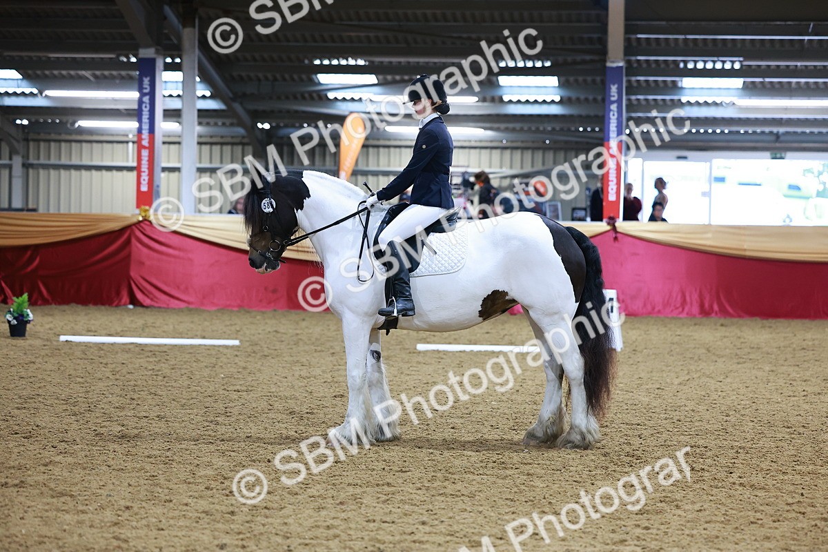 SBM_06617 - Class 61 - Dressage to Music