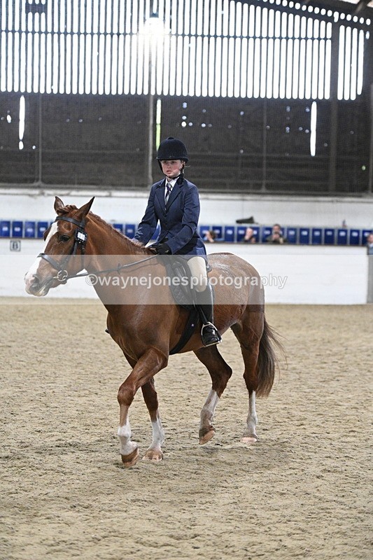 WJ7_4138 - Class 17 Ridden Cob