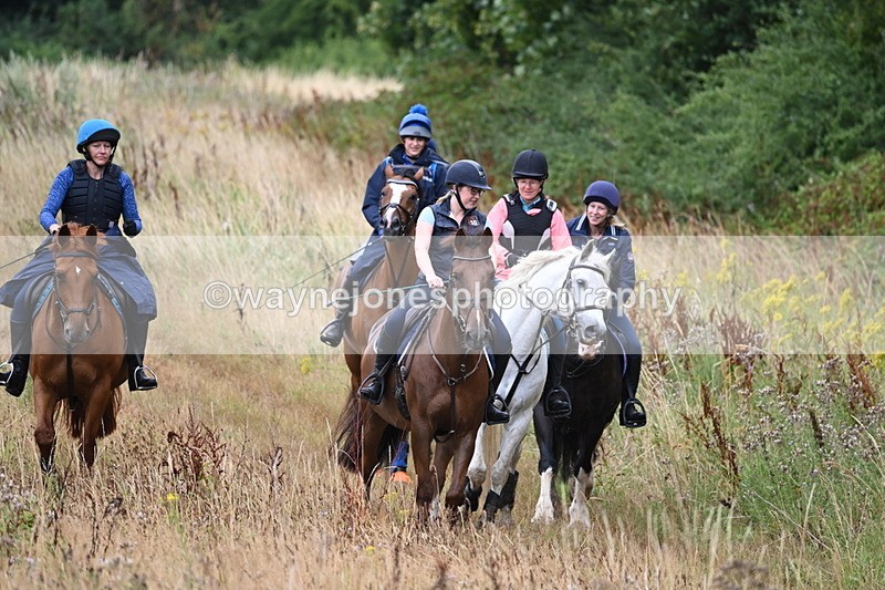 WJ6_2190 - Group 6?