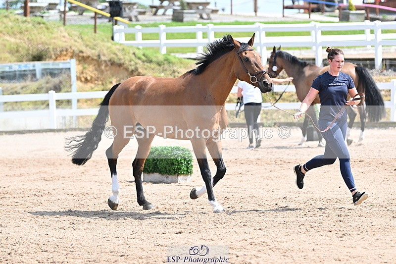 240717A-150427-02504 - Trot Up 3pm to 4pm