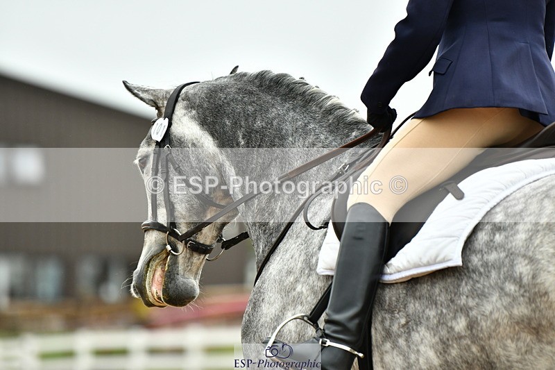 230630A-155115-03377 - Cls 1+5 Quest Intro A + Prelim 2