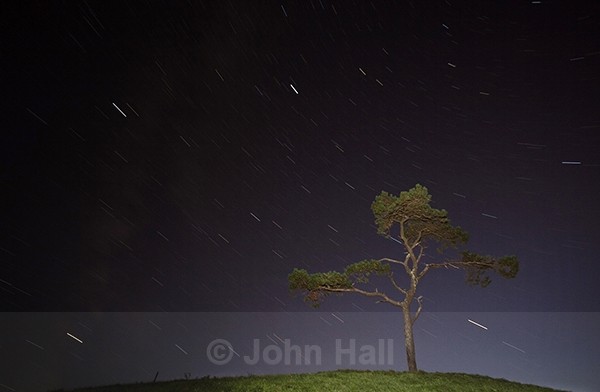 Lone Tree And Startrails At Night, Kinsale, Co. Cork, Ireland.