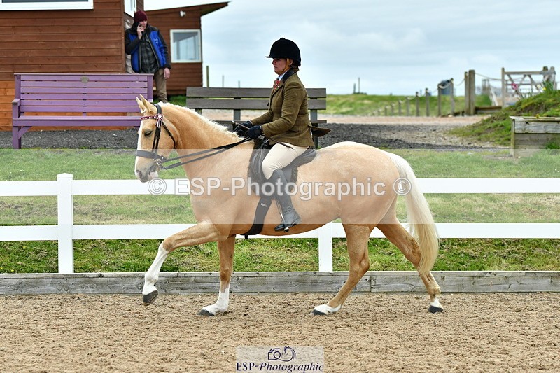 230416A-143100-05251 - Cls 74 Warmblood