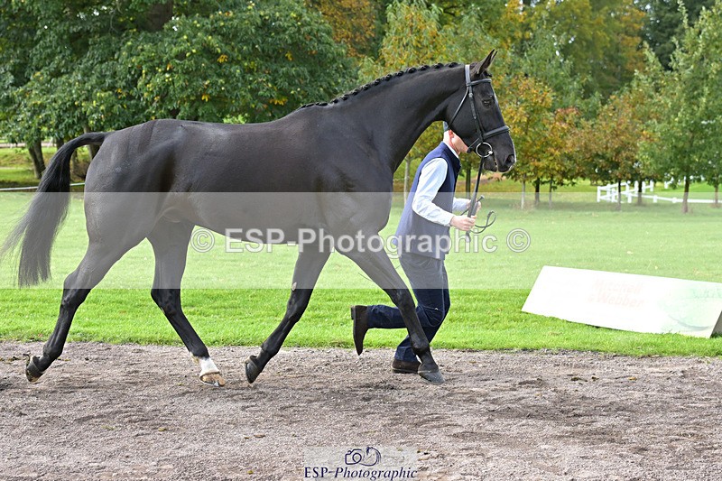 241023-132746-00306 - 058-Jack.Ashworth-TIMEPEICE.BLUE