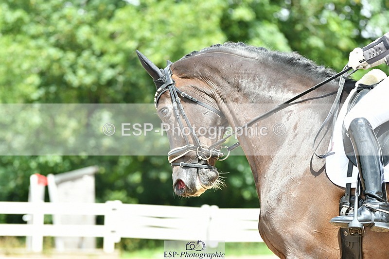 230701A-131451-06264 - Cls 12, 15 + 19 Music Medium, Adv Medium + Inter I