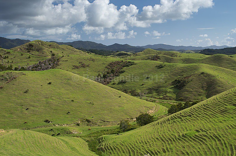 Whangaruru Head - New Zealand North Island