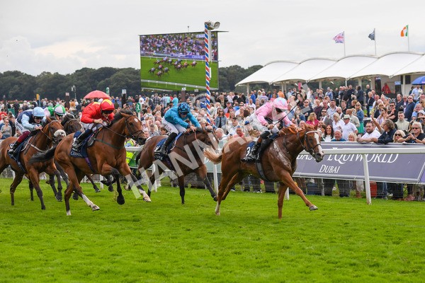250823-Race 4-Live In The Dream-0670 - Race 4 3.35pm Coolmore Wootton Bassett Nunthorpe Stakes