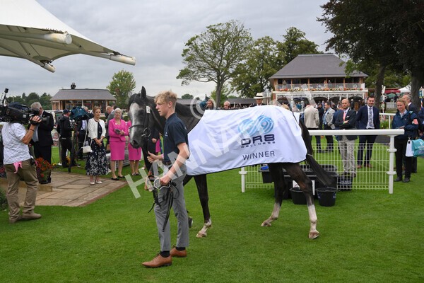 yr19082021r5-54 - Race 5 4.10pm OR8wellness ebfstallions Nursery Handicap