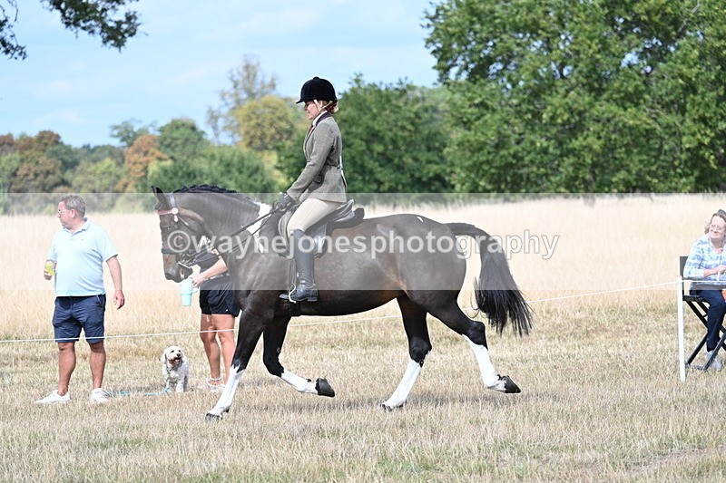 WJ7_5848 - Class 13 Ridden Veterans