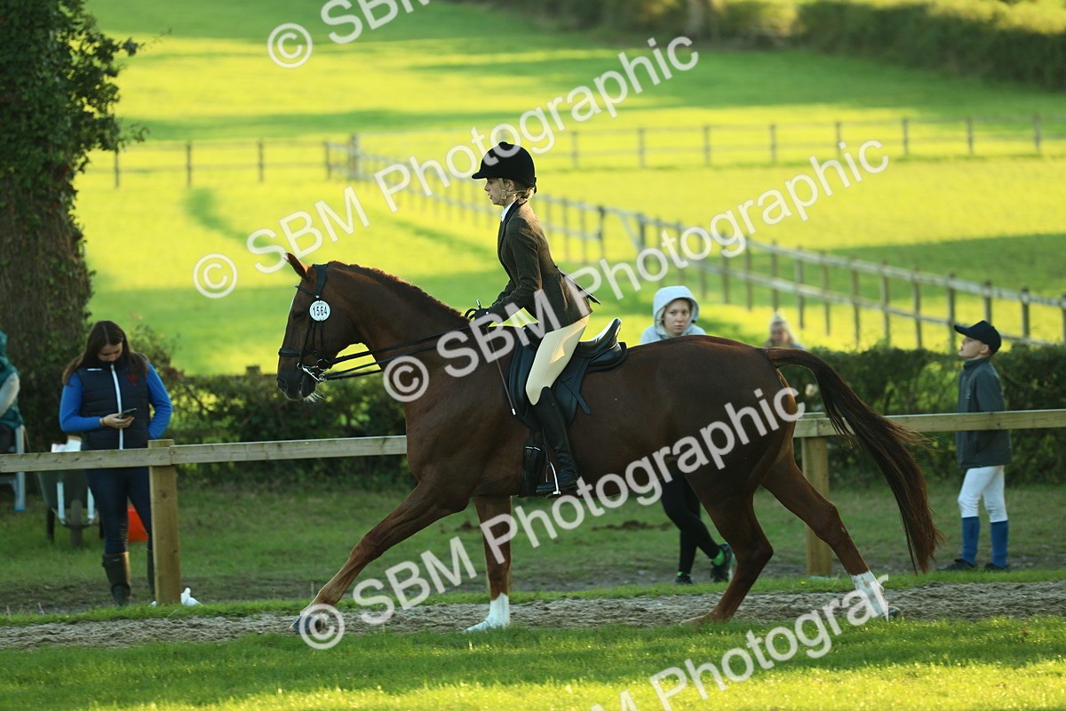 SBM_56462 - S14 - Riding Club Horse