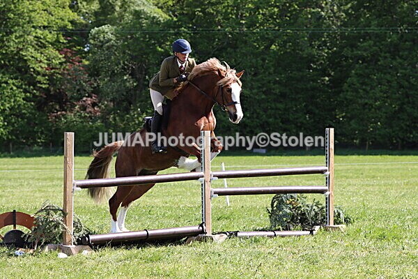 IMG_4745 - Working Hunter