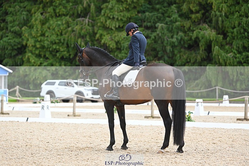 230813-143809-07799 - Cls 13 Medium Bronze 13.15 to End