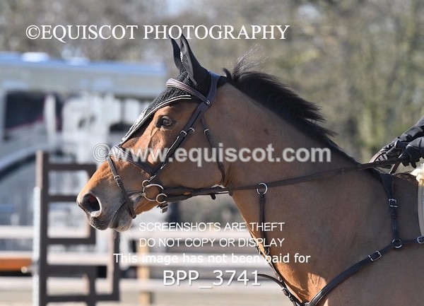 BPP_3741 - CLASS 8 Senior Newcomers/ 1.10m Open