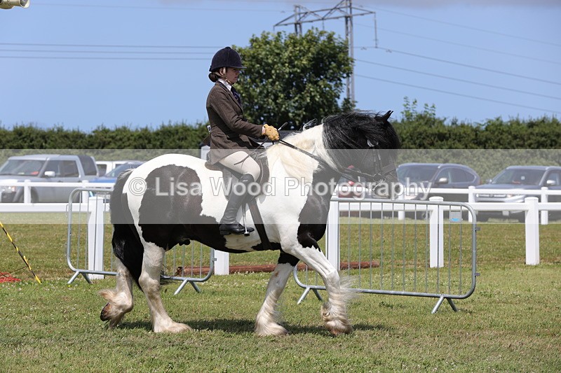 1X9A4260 - Class 34: Veteran Ridden