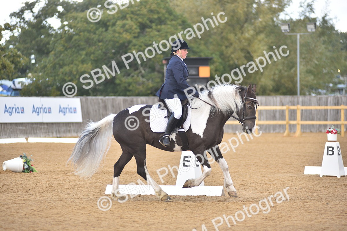 SBM_22398 - D13 - Grand Tour Championship Prelim 3