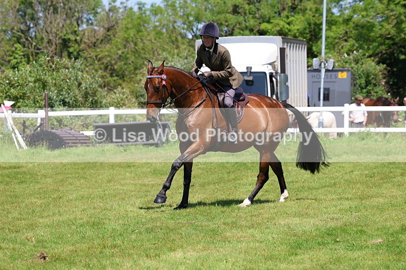 3E7A7525 - Class 31: Working Hunter Cob/Riding Horse