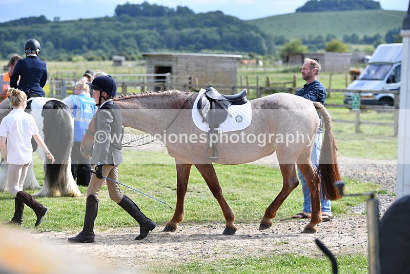 WJ5_7816 - Time 16:40 to 16:55