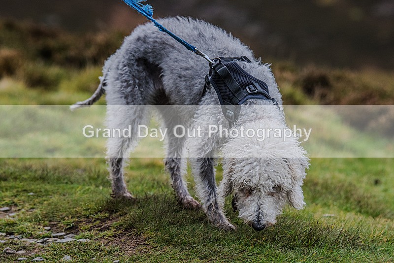 British Fell Relay-722 - British Fell & Hill Relay Championship Braithwaite Keswick Saturday 21st October 2023