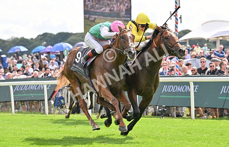 190826-125 Item - Race 4 15.35pm Juddmonte International Stakes