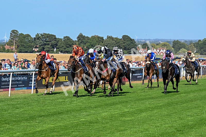 120826-Race 6-Rumble Ruby-7469 - Race 6 16.45pm Nation Radio Yorkshire Handicap