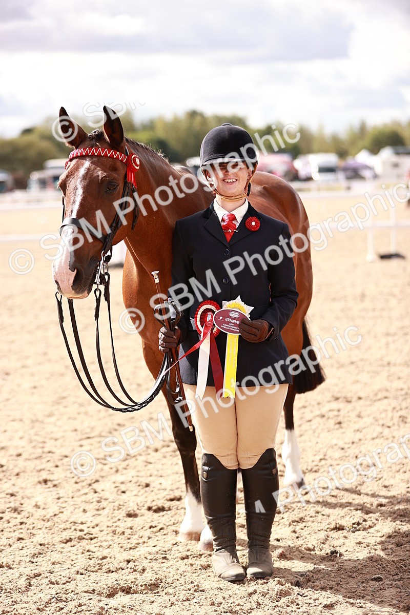 SBM_14231 - Class 407 - IH Hack Riding Horse