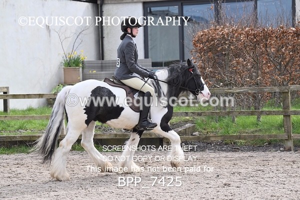 BPP_7425 - RING 1  (RIDDEN HORSES / IN HAND / VETERAN ETC)